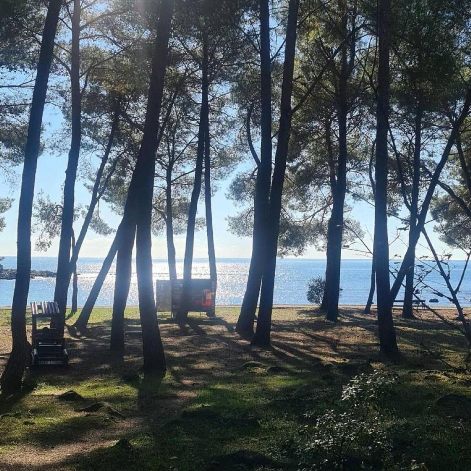 Apartments Berto - 500M To The Beach Rovinj Exterior photo